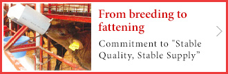 From Breeding to Fattening